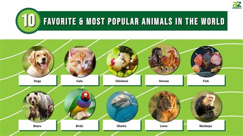 greatest animals in the world.